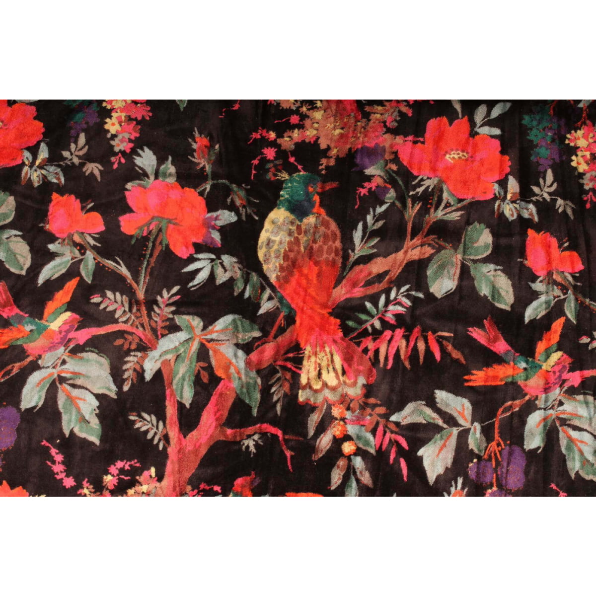 Close-up of colorful bird print on black hand-printed cotton velvet fabric