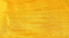 Close-up of Golden Yellow Dupion Silk Fabric showing natural slub texture, woven silk detail, and bright golden-yellow colour