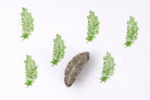 Etched Feather Block wooden stamp creating repeating feather pattern in green ink