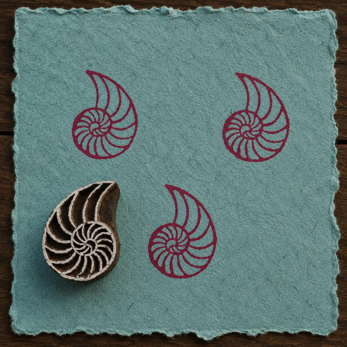 Hand-carved Spiral Nautilus Shell wooden printing block with magenta spiral shell impressions on textured blue handmade paper.