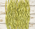 Close up texture of Spring Willow sari silk ribbon yarn